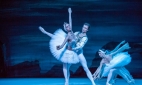 В партии Принца Зигфрида в балете Лебединое озеро. Одетта - Анна Никулина