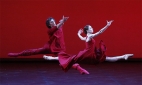 Пара в красном в балете Русские сезоны. С Екатериной Крысановой