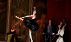 В партии Одиллии в балете Лебединое озеро