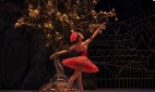 В заглавной партии в балете Жар-птица