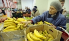 Бананы в России могут еще больше подорожать из-за бананового грибка