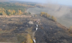Власти Брянской области обещают потушить все горящие торфяники в течение двух-трех дней