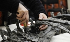 В Оренбуржье нашли останки неизвестного науке морского ящера 