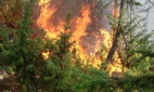 Площадь лесных пожаров в Сибири за сутки сократилась вдвое