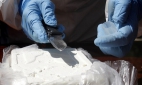 В Калининград пришел теплоход со 170 килограммами кокаина 