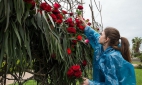 Платья и сердца из цветов создали участники международного фестиваля флористов в Сочи