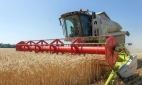 Сельское хозяйство остается локомотивом российской экономики