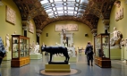 Московские музеи откроются для бесплатного посещения в дни зимних каникул