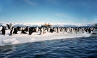 В Антарктиде зафиксирован рекорд самой низкой температуры на планете - минус 94,7 градуса
